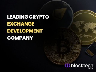 Leading Crypto Exchange Development Company