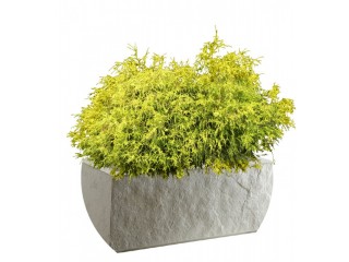 FRP Planters Manufacturers