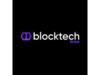 Hire Blockchain Developers | Expert Blockchain Development Services - Blocktechbrew