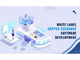 Launch in Crypto Space with a White Label Crypto Trading Platform