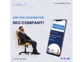 are-you-looking-for-seo-company-codedm2-small-0