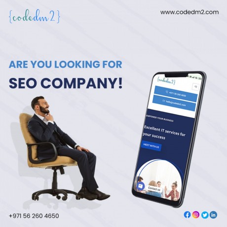 are-you-looking-for-seo-company-codedm2-big-0