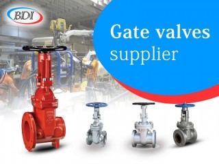 Secure Your Industrial Flow Control Needs: Gate Valves Supplier in UAE