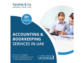 Accounting Services in UAE - Business Accounting Services