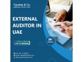 external-audit-services-auditors-in-dubai-small-0