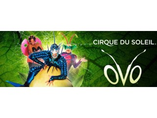 Get your tickets now ! Cirque du Soleil – OVO in Dubai