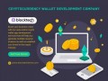 most-affordable-cryptocurrency-wallet-development-company-small-0