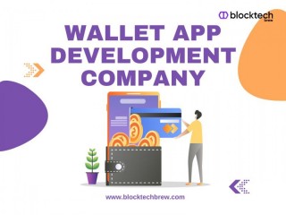 Award Winning Wallet App Development Company Dubai