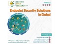 endpoint-security-solution-dubai-secures-digital-growth-from-cyber-attacks-small-0
