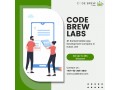 super-loved-app-development-company-in-dubai-uae-code-brew-labs-small-0