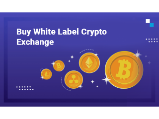 Pick The Best White Label Crypto Exchange Software Development Company