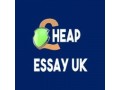 professional-cheap-essay-writers-in-uk-small-0
