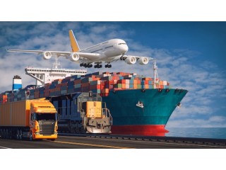 From Headaches to High Seas: OLC's Easy Export Solutions