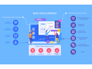 Custom Web Development Services: Tailored Solutions for Your Business