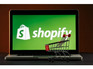 Expert Shopify Developers for Hire Insights and Challenges