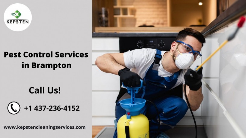 exterminator-in-brampton-kepsten-cleaning-services-big-0