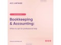 bookkeeping-accounting-when-to-opt-for-professional-help-small-0