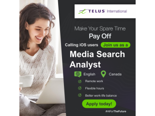 Freelance Remote Media Search Analyst