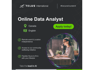 Freelance Remote Online Data Analyst