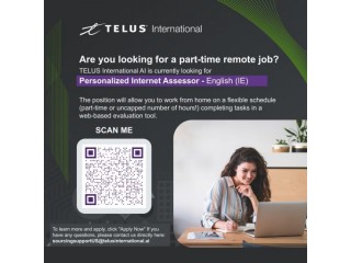 Part-time Work From Home as Personalized Internet Assessor anywhere in Ireland