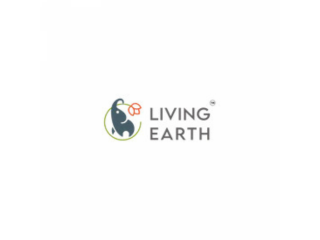 A+ Turmeric, 500g – Living Earth Organics