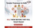 termite-treatment-in-delhi-small-0