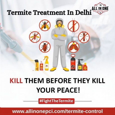 termite-treatment-in-delhi-big-0