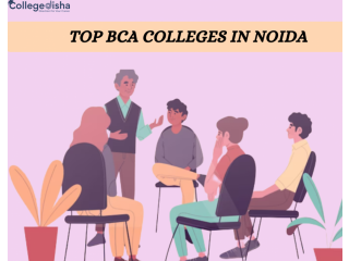 Top BCA Colleges in Noida