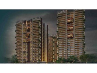 Ivy county sector 75 noida,ivy county sector 75