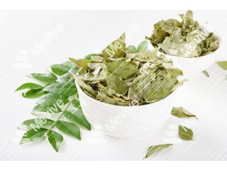 Dried Curry Leaves- Whole, Powder- Manufacturer, Supplier