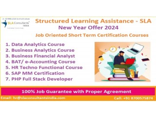 Accounting Course [100% Job] #1 e-Accounting Certification, BAT Training Institute,  by Structured Learning Assistance - Tally, GST Updates [2024]