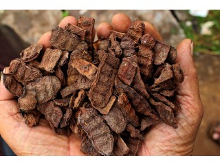 Shikakai Extract Manufacturers and Suppliers in India