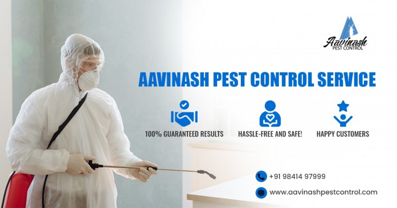 best-pest-control-services-experts-in-chennai-aavinashpestcontrol-big-0