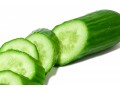 cucumber-extract-manufacturers-and-suppliers-in-india-small-1