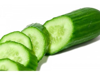 Cucumber Extract Manufacturers and Suppliers in India