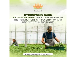 Troubleshooting Common Issues in Home Hydroponic Systems