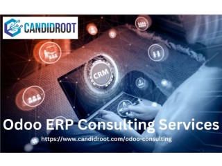 Odoo ERP Consulting Services