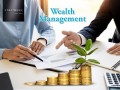 grow-your-wealth-with-premium-wealth-management-services-small-0