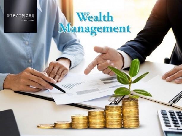 grow-your-wealth-with-premium-wealth-management-services-big-0