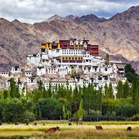 budget-friendly-ladakh-tour-packages-from-manali-by-naturewings-big-2
