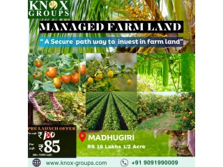 Agriculture | farm land for sale | Knox groups in Bangalore