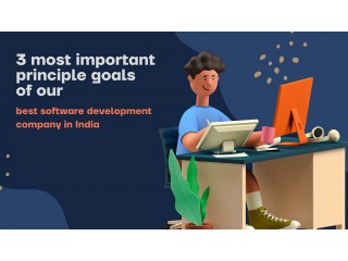 3 Most Important Principle Goals of Our Best Software Development Company in India