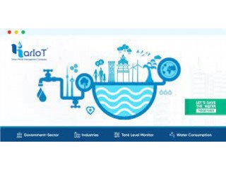 Aquatic Insights: Enhancing Water Management Through IoT Technolog