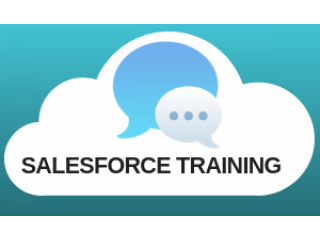 Salesforce Training - Learntek
