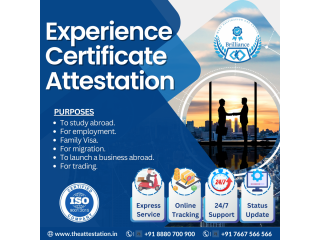 An essential Guide to Experience certificate attestation