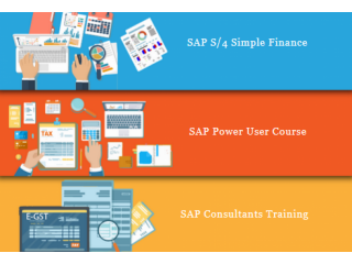 Complete SAP FICO Course & Certification - SLA Consultants Delhi