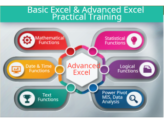 Best Excel Training Course in Noida, Sector 15, 2, 3, 16, 63, SLA Institute, VBA, SQL Certification, 100% MNC Job,
