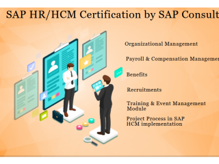 Best SAP HR HCM Course in Noida, Delhi, SLA Institute, Rajopay Payroll Certification,  2023 Offer,