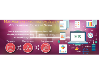 MIS Training Course, Pandav Nagar, Delhi, SLA Analytics Learning, SQL / VBA, Power BI, Excel Classes, Holi Offer '23