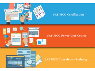 SAP FICO Certification in  Tilak Nagar, Delhi, SLA SAP Learning Tutorial Learning, SAP Hana Finance, GST Training Course, 100% Job